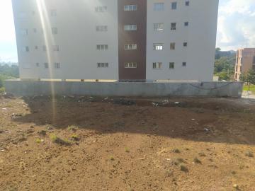 imagem 5 - LOTE imagem 5 - LOTE