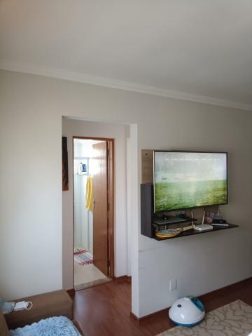 imagem 5 - Apartamentos - Padrão imagem 5 - Apartamentos - Padrão