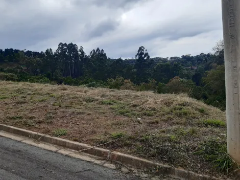 imagem 2 - Terrenos - Padrão imagem 2 - Terrenos - Padrão