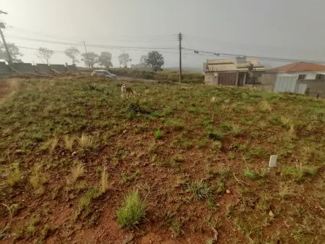 imagem 1 - Terrenos - Padrão imagem 1 - Terrenos - Padrão