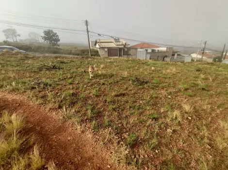 imagem 2 - Terrenos - Padrão imagem 2 - Terrenos - Padrão