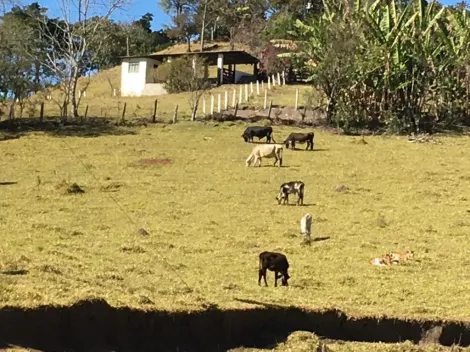 imagem 2 - Rurais - Fazenda imagem 2 - Rurais - Fazenda