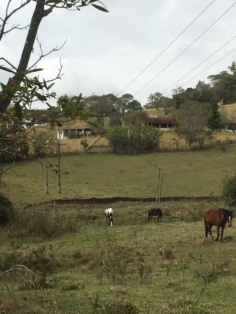 imagem 3 - Rurais - Fazenda imagem 3 - Rurais - Fazenda