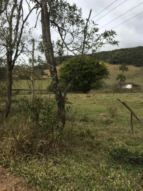 imagem 5 - Rurais - Fazenda imagem 5 - Rurais - Fazenda