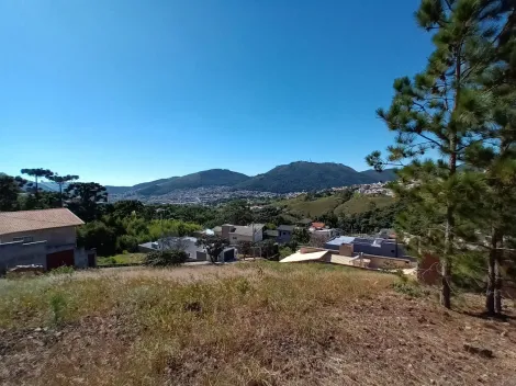 imagem 1 - Terrenos - Padrão imagem 1 - Terrenos - Padrão