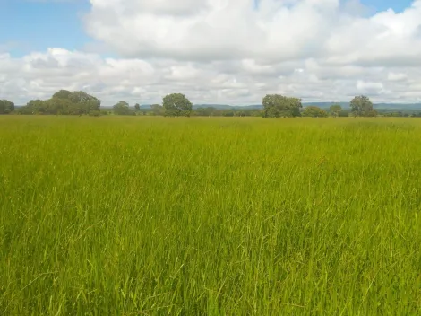 imagem 4 - Rurais - Fazenda imagem 4 - Rurais - Fazenda