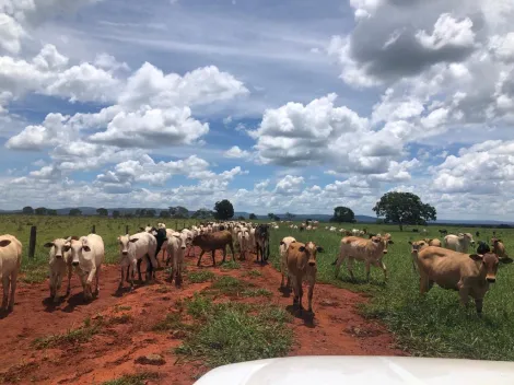 Paracatu Zona Rural Rural Venda R$140.000.000,00  Area do terreno 40070000.00m2 