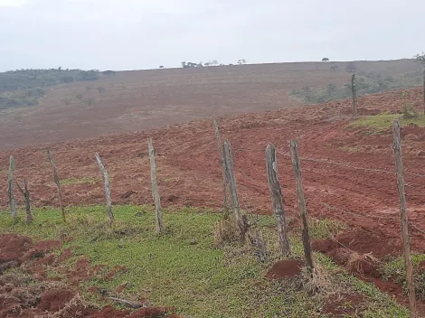 imagem 4 - Rurais - Fazenda imagem 4 - Rurais - Fazenda