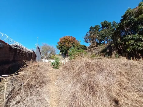 imagem 3 - Terrenos - Padrão imagem 3 - Terrenos - Padrão
