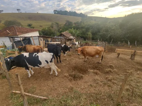 imagem 1 - Rurais - Chácara imagem 1 - Rurais - Chácara