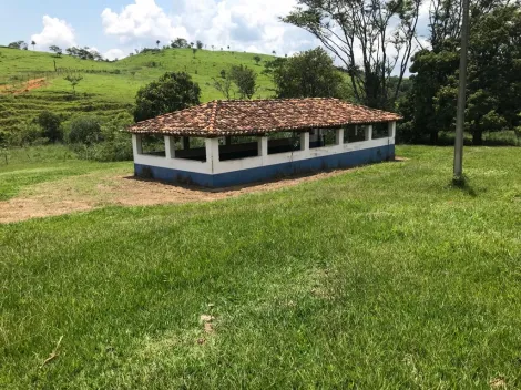 imagem 5 - Rurais - Fazenda imagem 5 - Rurais - Fazenda