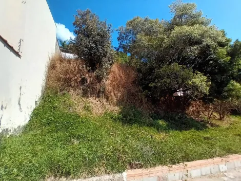 imagem 3 - Terrenos - Padrão imagem 3 - Terrenos - Padrão