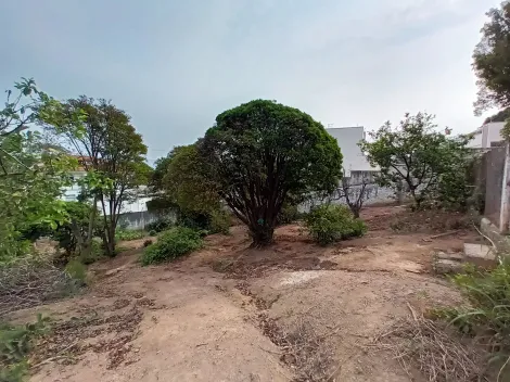 imagem 2 - Terrenos - Padrão imagem 2 - Terrenos - Padrão