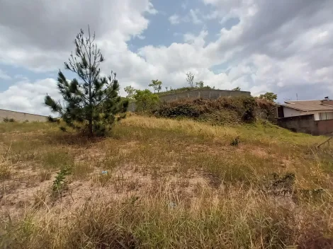 imagem 2 - Terrenos - Padrão imagem 2 - Terrenos - Padrão
