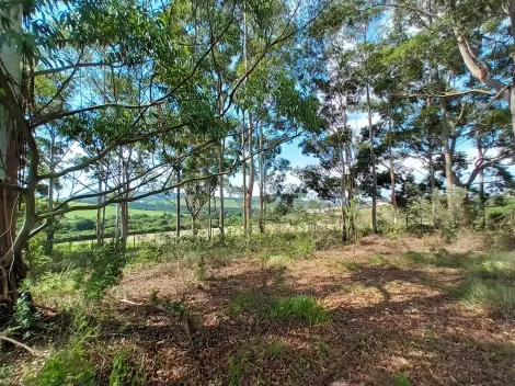 imagem 3 - Terrenos - Condomínio de Chácaras imagem 3 - Terrenos - Condomínio de Chácaras