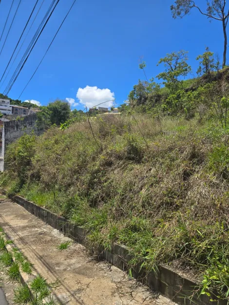 imagem 2 - Terrenos - Padrão imagem 2 - Terrenos - Padrão