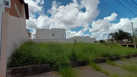 imagem 2 - Terrenos - Padrão imagem 2 - Terrenos - Padrão