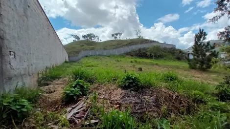 imagem 2 - Terrenos - Padrão imagem 2 - Terrenos - Padrão