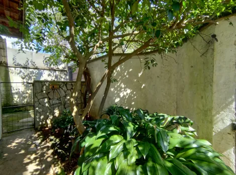 imagem 3 - Casas - Padrão imagem 3 - Casas - Padrão