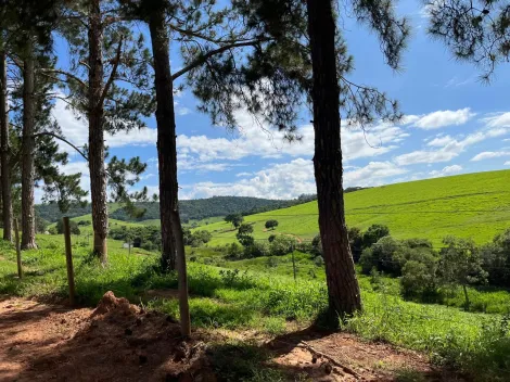 Pouso Alegre Zona Rural Rural Venda R$43.000.000,00 Area do terreno 6580000.00m2 Pouso Alegre Zona Rural Rural Venda R$43.000.000,00 Area do terreno 6580000.00m2