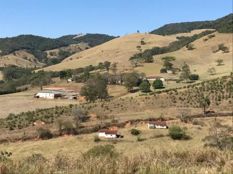 imagem 2 - Rurais - Fazenda imagem 2 - Rurais - Fazenda