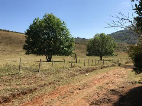 imagem 4 - Rurais - Fazenda imagem 4 - Rurais - Fazenda