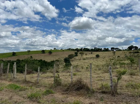 imagem 4 - Rurais - Fazenda imagem 4 - Rurais - Fazenda