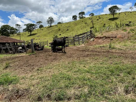 imagem 2 - Rurais - Fazenda imagem 2 - Rurais - Fazenda