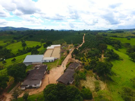 imagem 3 - Rurais - Fazenda imagem 3 - Rurais - Fazenda