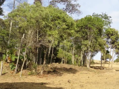 imagem 5 - Rurais - Chácara imagem 5 - Rurais - Chácara