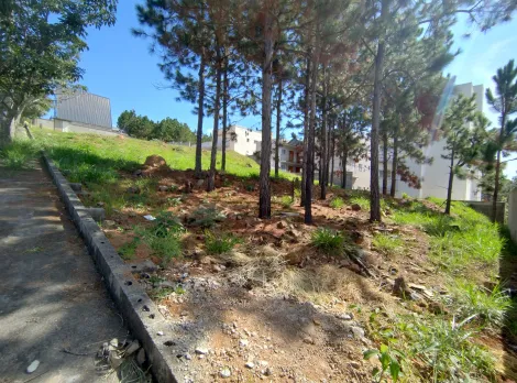 imagem 2 - Terrenos - Padrão imagem 2 - Terrenos - Padrão