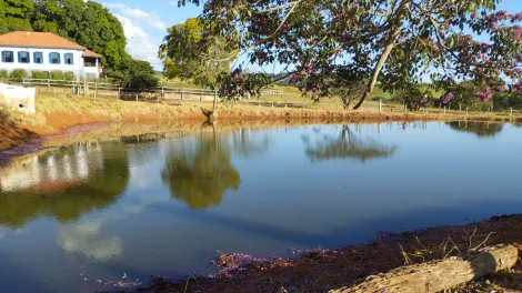 imagem 4 - Rurais - Fazenda imagem 4 - Rurais - Fazenda