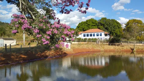 imagem 5 - Rurais - Fazenda imagem 5 - Rurais - Fazenda